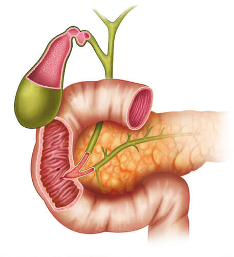 gastroenterology hospital in chennai