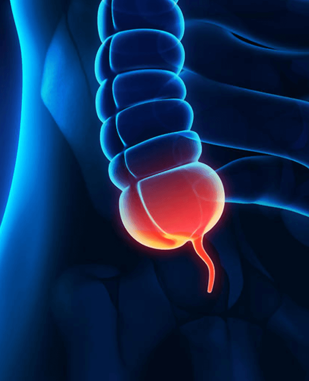 gastroenterology specialist in chennai